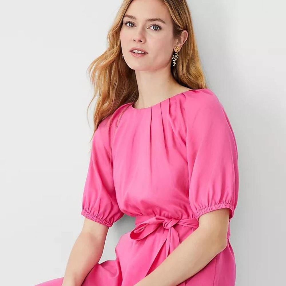 NWT Ann Taylor Pleated Flare Pocket Dress - Picture 3 of 4